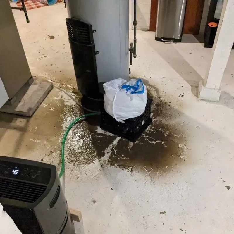 Sewage Backup Cleanup Service in Lake Latonka, PA